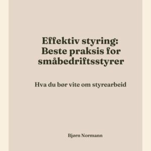 Effektiv styring:  Beste praksis for småbedriftsstyrer